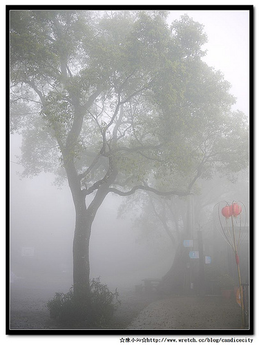【遊記】苗栗遊：雲霧裊裊的雲洞山莊