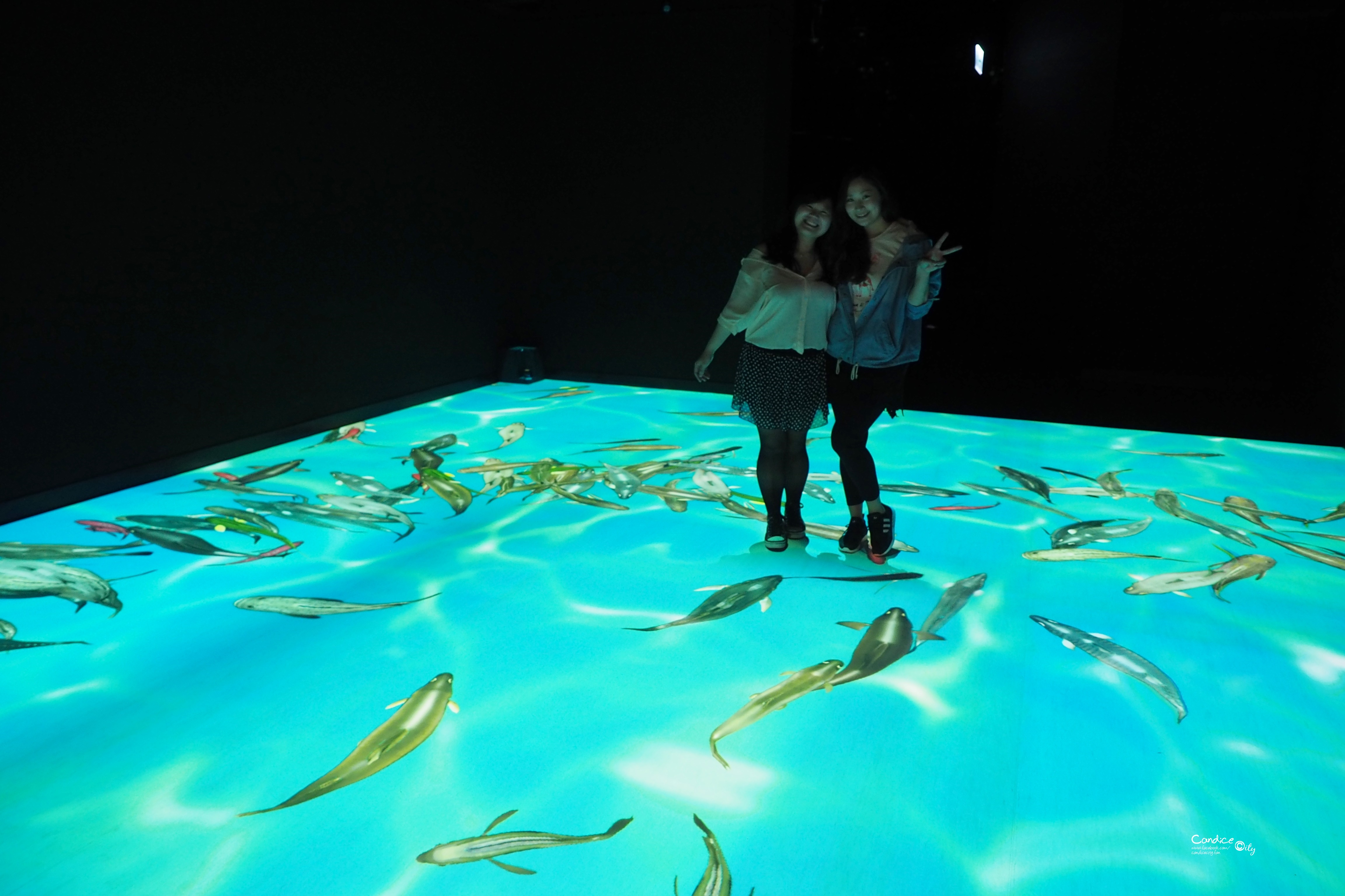 【蘇澳景點】安永心食館3D海洋冒險 天才小釣手 宜蘭新景點觀光工廠 @陳小沁の吃喝玩樂
