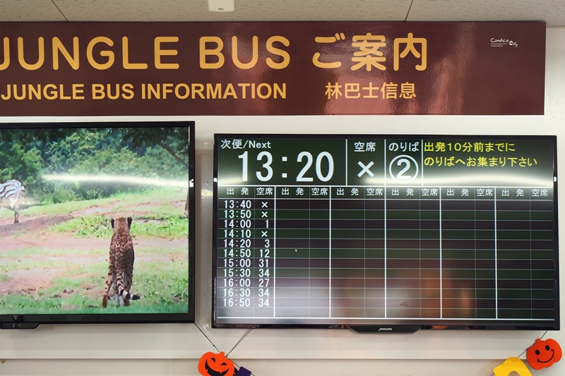 九州自然野生動物園｜九州必去景點!可以餵獅子,叢林巴士必搭!時間預約攻略!