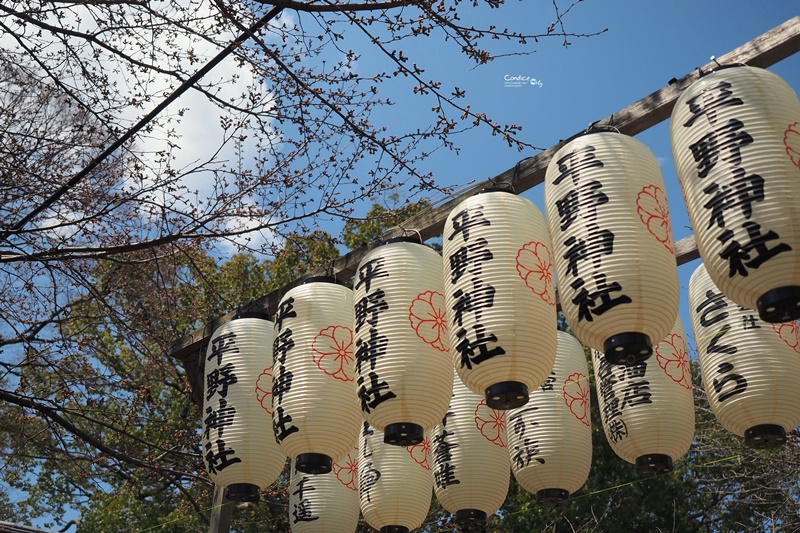 【京都賞櫻】賞櫻景點推薦:平野神社,賞櫻勝地,夜櫻很有名!