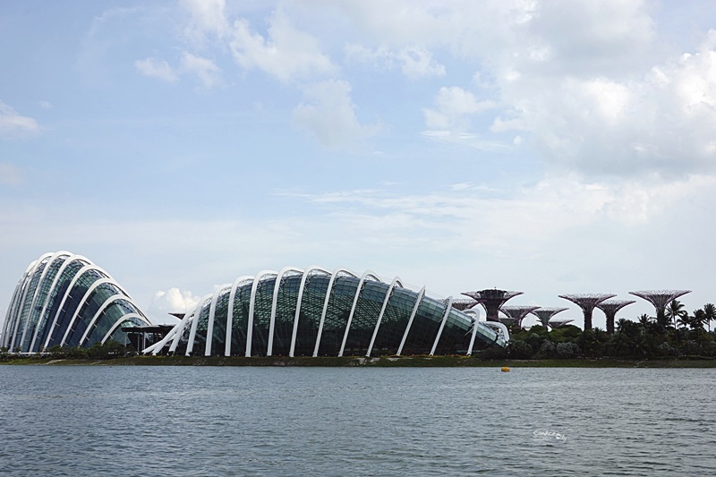 新加坡水陸兩棲鴨子船｜認識新加坡最快方法,中文導覽預約攻略.新達城美食,財富之泉必去
