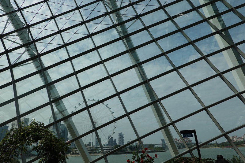 濱海灣花園｜花穹/雲霧林,門票先買便宜!花園中的城市溫室:新加坡必訪景點!