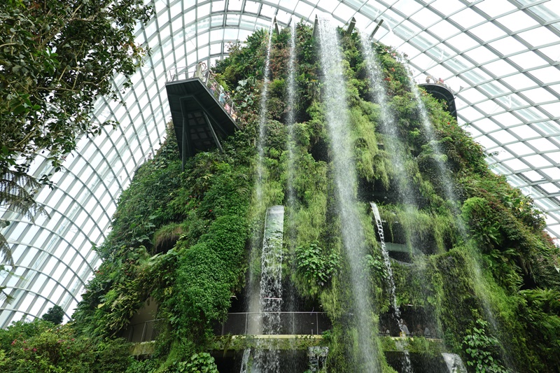 濱海灣花園｜花穹/雲霧林,門票先買便宜!花園中的城市溫室:新加坡必訪景點!