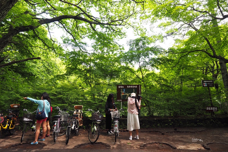 【輕井澤景點】雲場池,腳踏車交通方便,美美夏天避暑聖地!