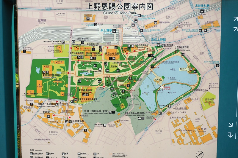 【東京景點】不忍池荷花池,上野恩賜公園,上野景點必訪!