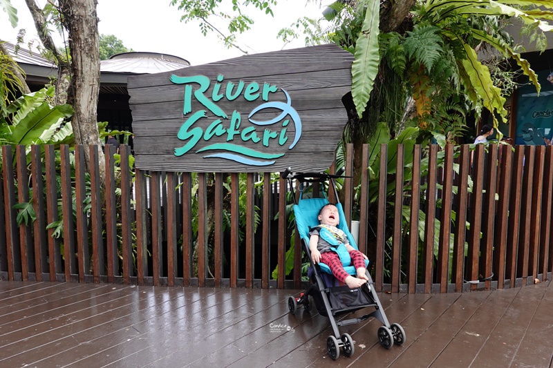 新加坡河川生態園｜超好玩亞馬遜河川體驗,遊覽船小孩超愛的新加坡親子景點