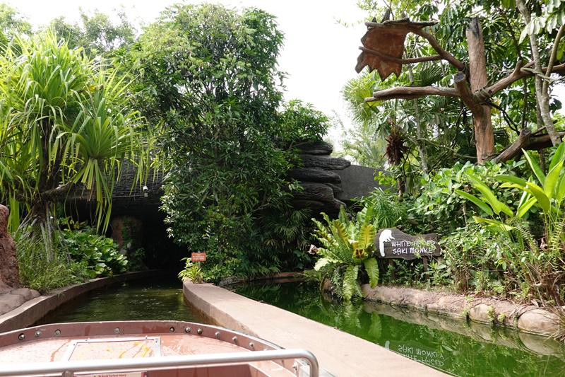 新加坡河川生態園｜超好玩亞馬遜河川體驗,遊覽船小孩超愛的新加坡親子景點 @陳小沁の吃喝玩樂