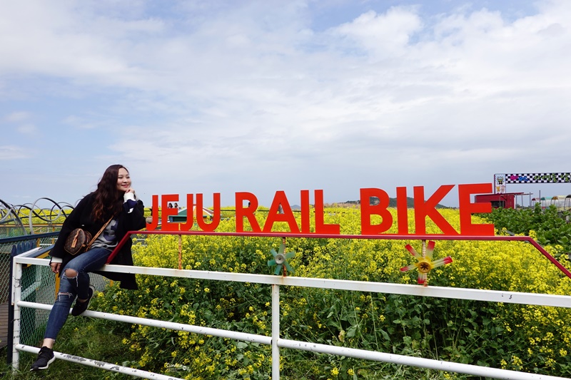 濟州鐵路公園｜濟州鐵路自行車,邊看油菜花邊騎電動車,還有牛馬可以看,超好玩!