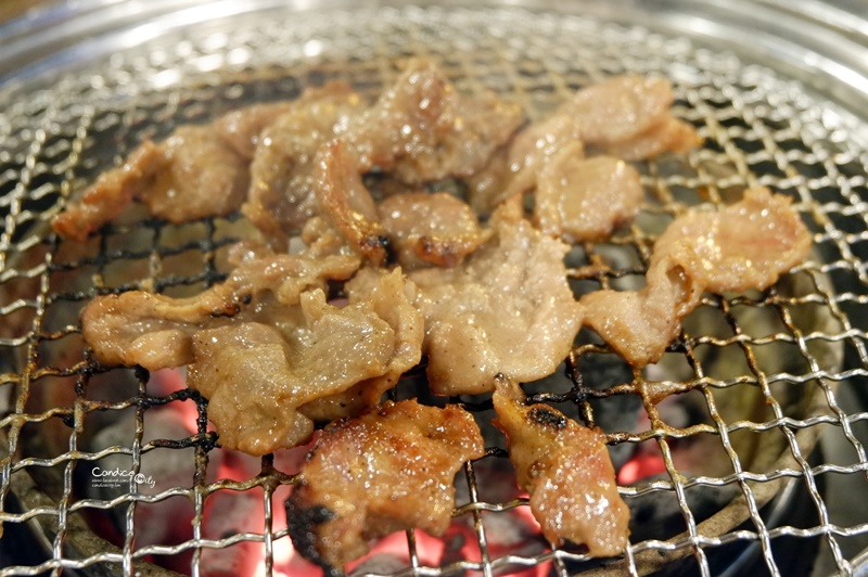 《首爾美食》胖胖豬烤肉,超美味燒肉+烤豬腸!弘大美食推薦!