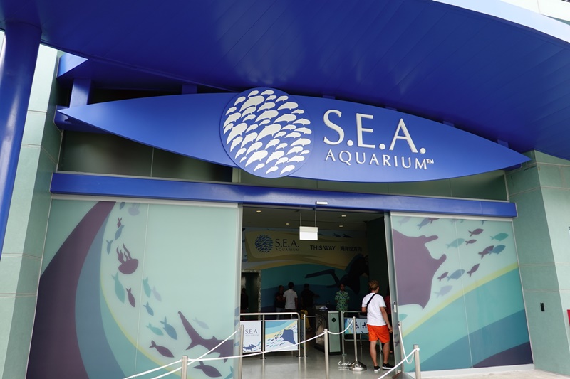 S.E.A.海洋館｜一開門人最少!必拍超大魟魚+鯊魚海底隧道超療癒!