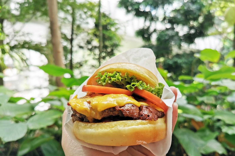 Shake Shack 新加坡｜紐約第一名美式漢堡!新加坡樟宜機場美食