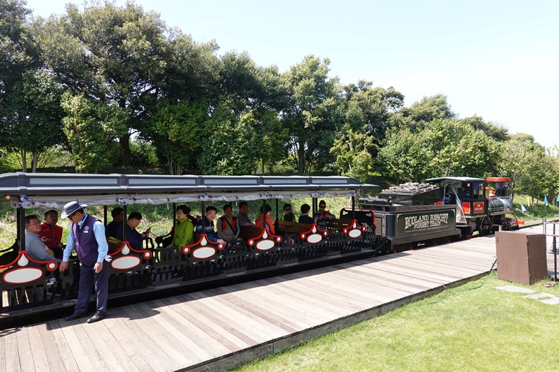 ECOLAND 森林小火車｜濟州島超可愛景點!搭乘小火車玩花園,超好拍!