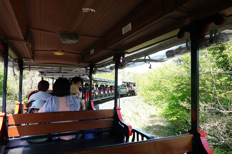 ECOLAND 森林小火車｜濟州島超可愛景點!搭乘小火車玩花園,超好拍!