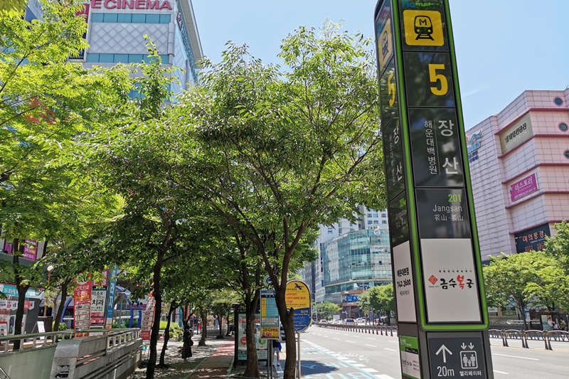 青沙浦天空步道｜半日遊攻略!旁邊還有紅白燈塔(交通/咖啡廳/公車)