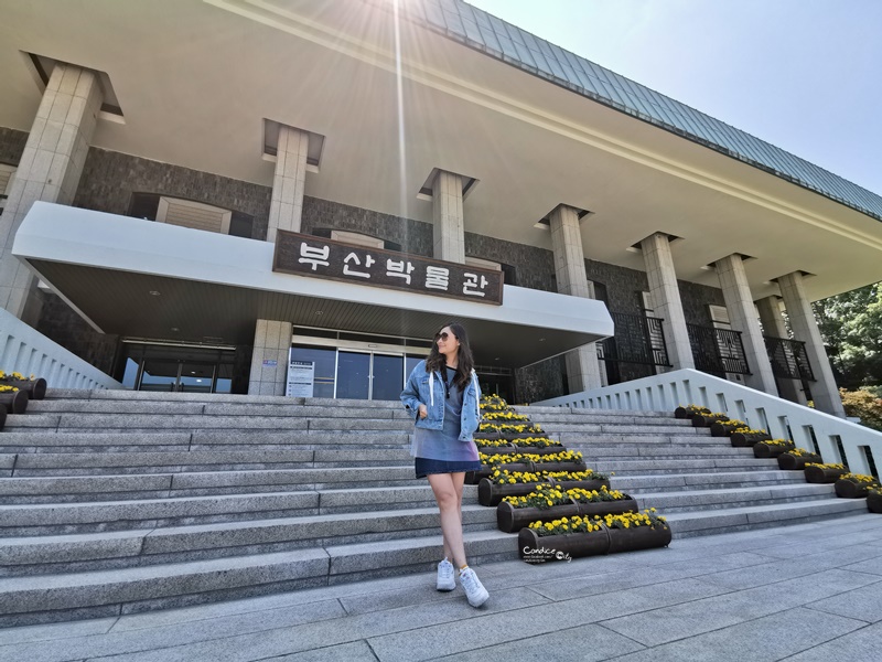 釜山博物館｜民俗體驗館免費穿韓服體驗!預約交通茶道體驗分享!