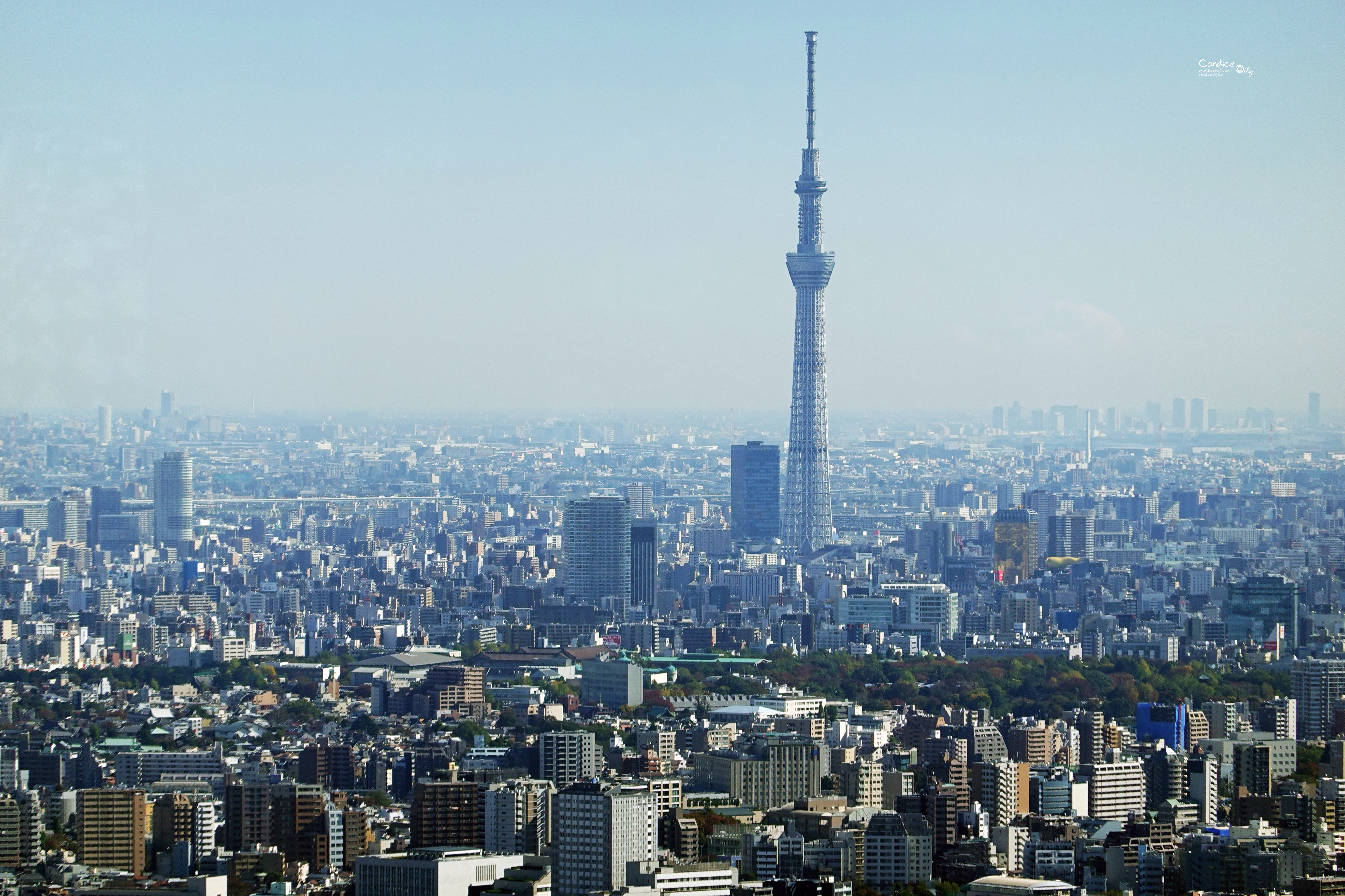 東京夜景哪邊看？必去8個東京觀景台/東京展望台懶人包!