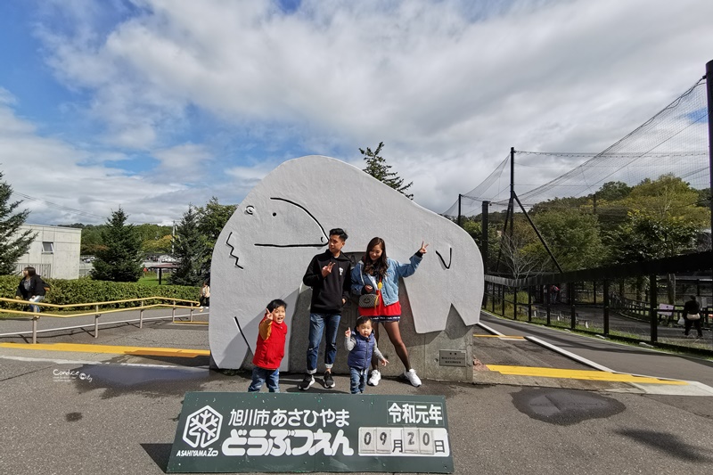 旭山動物園｜超炫企鵝隧道,北極熊超可愛!超推薦北海道旭川景點!