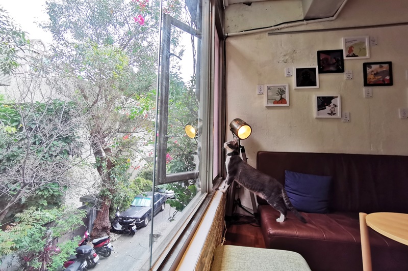貝克宅｜讓人去1次愛上的台北不限時咖啡廳!綠意盎然大窗戶超讚!