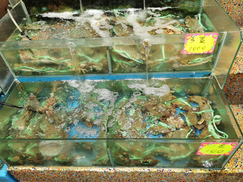 望海亭活海鮮｜野柳海鮮餐廳!價格透明,不僅海鮮好吃,油雞更是招牌!