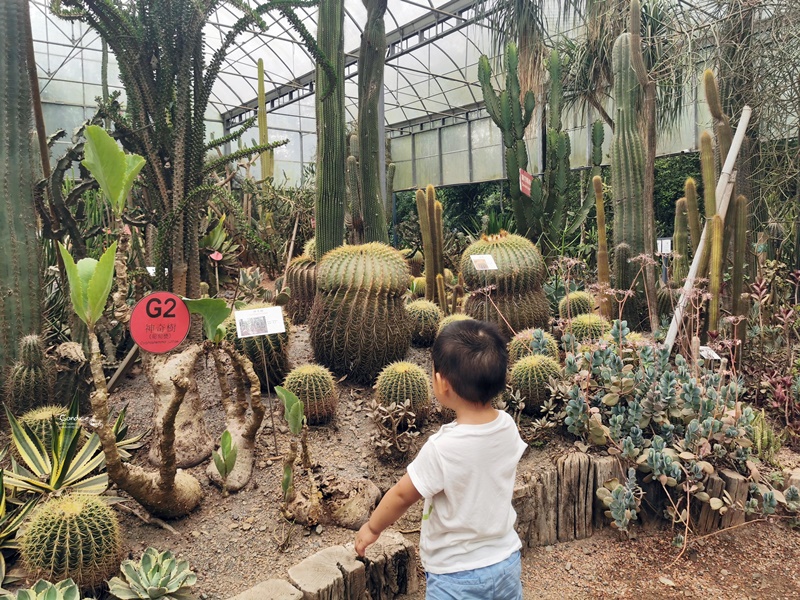 綠世界生態農場｜小孩超愛的新竹親子景點!超多動植物可逛一天!