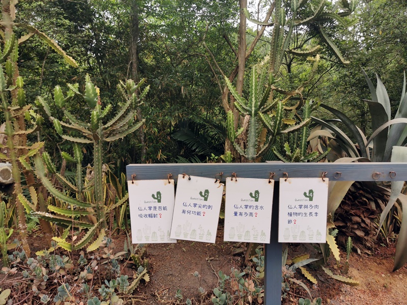 綠世界生態農場｜小孩超愛的新竹親子景點!超多動植物可逛一天!