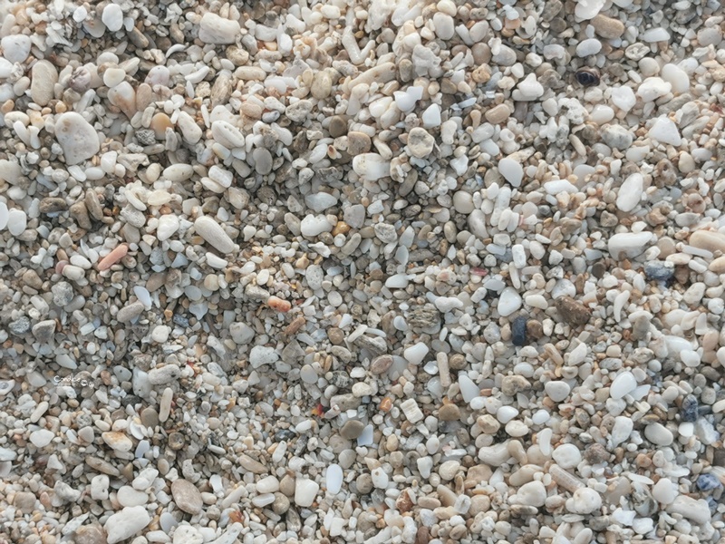 砂島貝殼砂展示館｜97%貝殼砂含量,沒開放的墾丁沙灘秘境!
