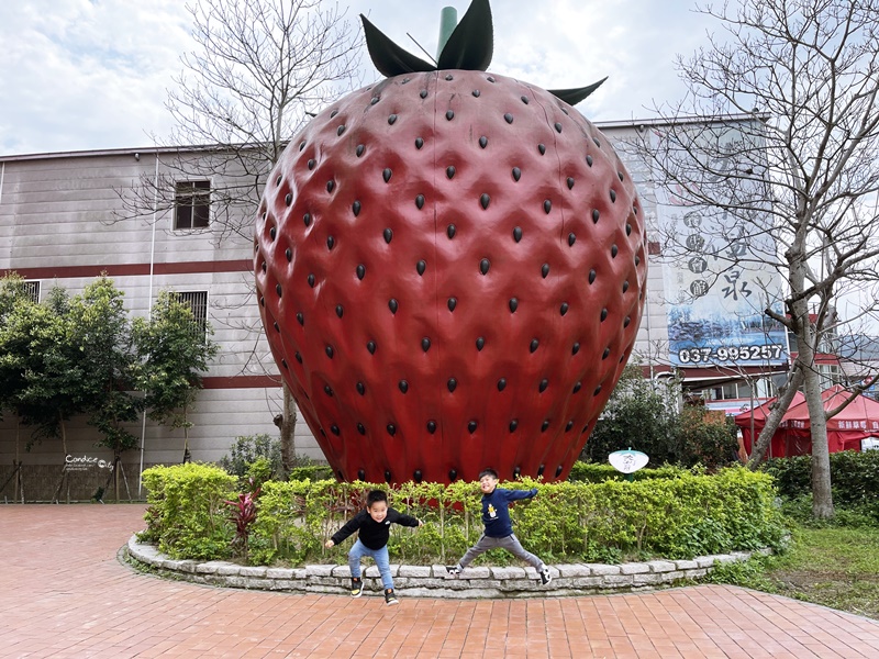 草莓文化館｜草莓系大湖伴手禮!草莓豆腐乳/草莓香腸/草莓酒