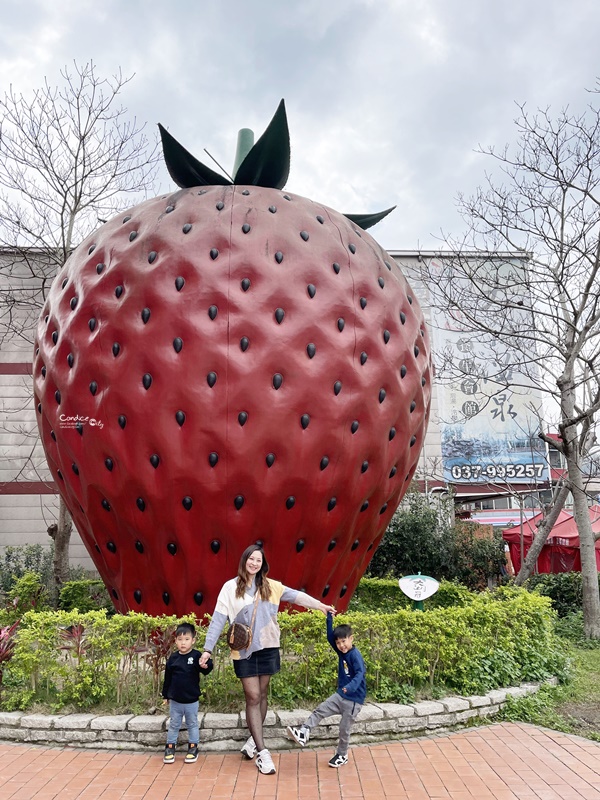 草莓文化館｜草莓系大湖伴手禮!草莓豆腐乳/草莓香腸/草莓酒