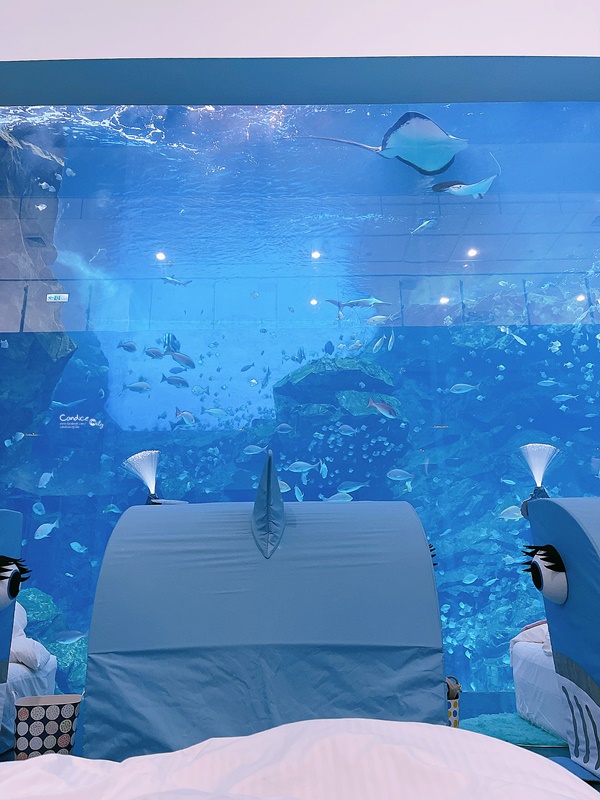 Xpark水族館住一晚豪華體驗分享！海洋系飯店級入住水族館/和逸:宿海奇遇!