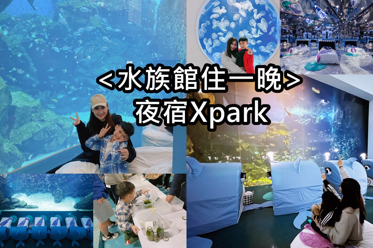Xpark水族館住一晚豪華體驗分享！海洋系飯店級入住水族館/和逸:宿海奇遇! @陳小沁の吃喝玩樂