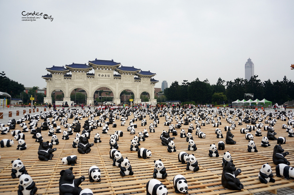 【台北】1600貓熊世界之旅 台北兩廳自由廣場