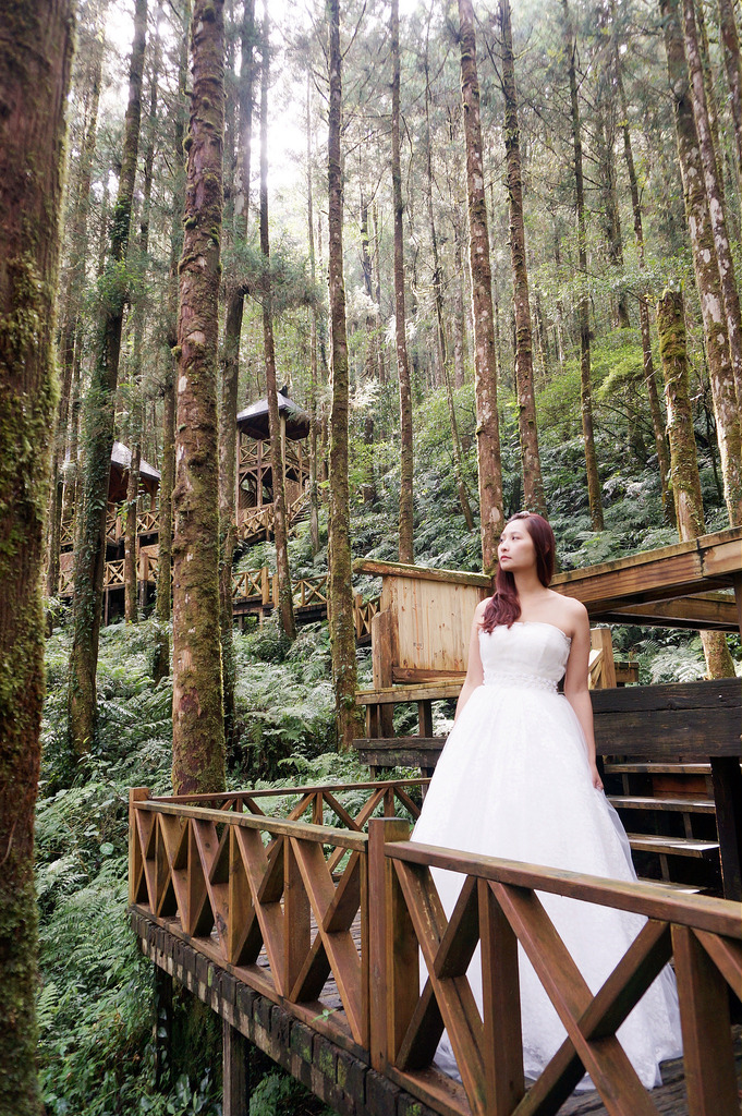 ♥喜喜♥ 完全自助‧用腳架拍婚紗(1) 宜蘭明池國家森林遊樂區