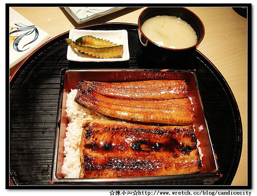 《食記》梅子鰻屋 – 好吃的鰻魚飯
