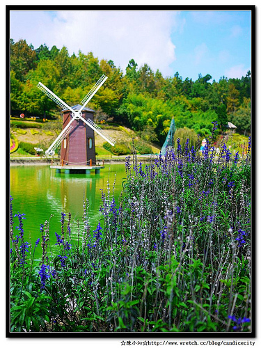 【遊記】清境小瑞士花園 – 藍天白雲風車，心情超讚!