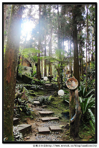 【遊記】溪頭仙朵拉童話森林 – 童話故事中的夢想天堂