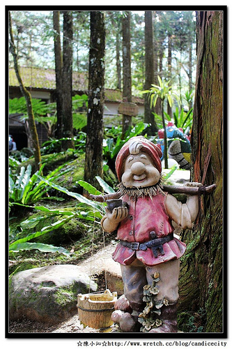 【遊記】溪頭仙朵拉童話森林 – 童話故事中的夢想天堂
