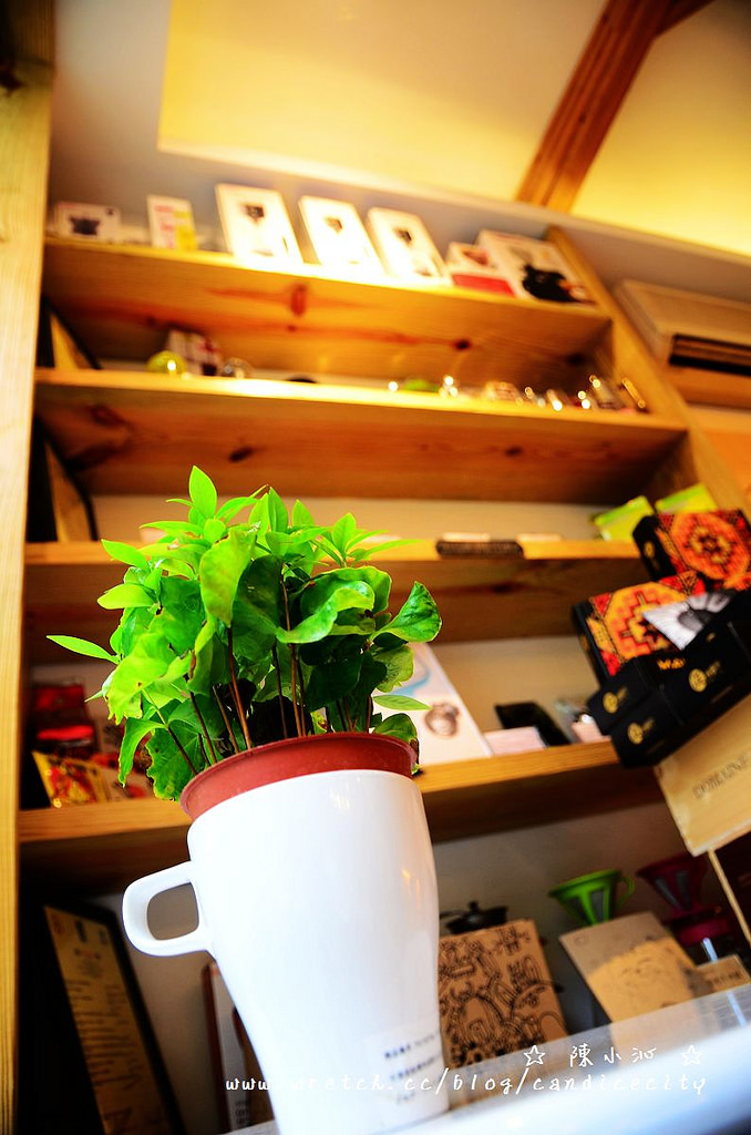 《台中》巷木咖啡 – 濃郁咖啡香的藝文空間