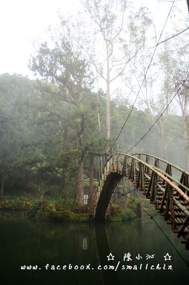 【遊記】溪頭自然教育園區 – 雲霧裊裊來做仙女XD